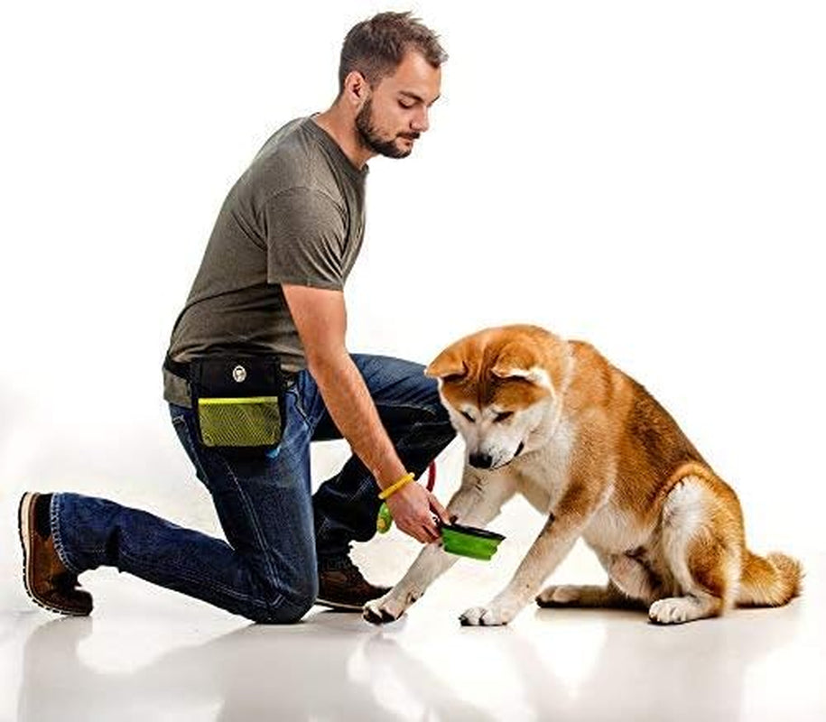 Dog Treats Training Bag