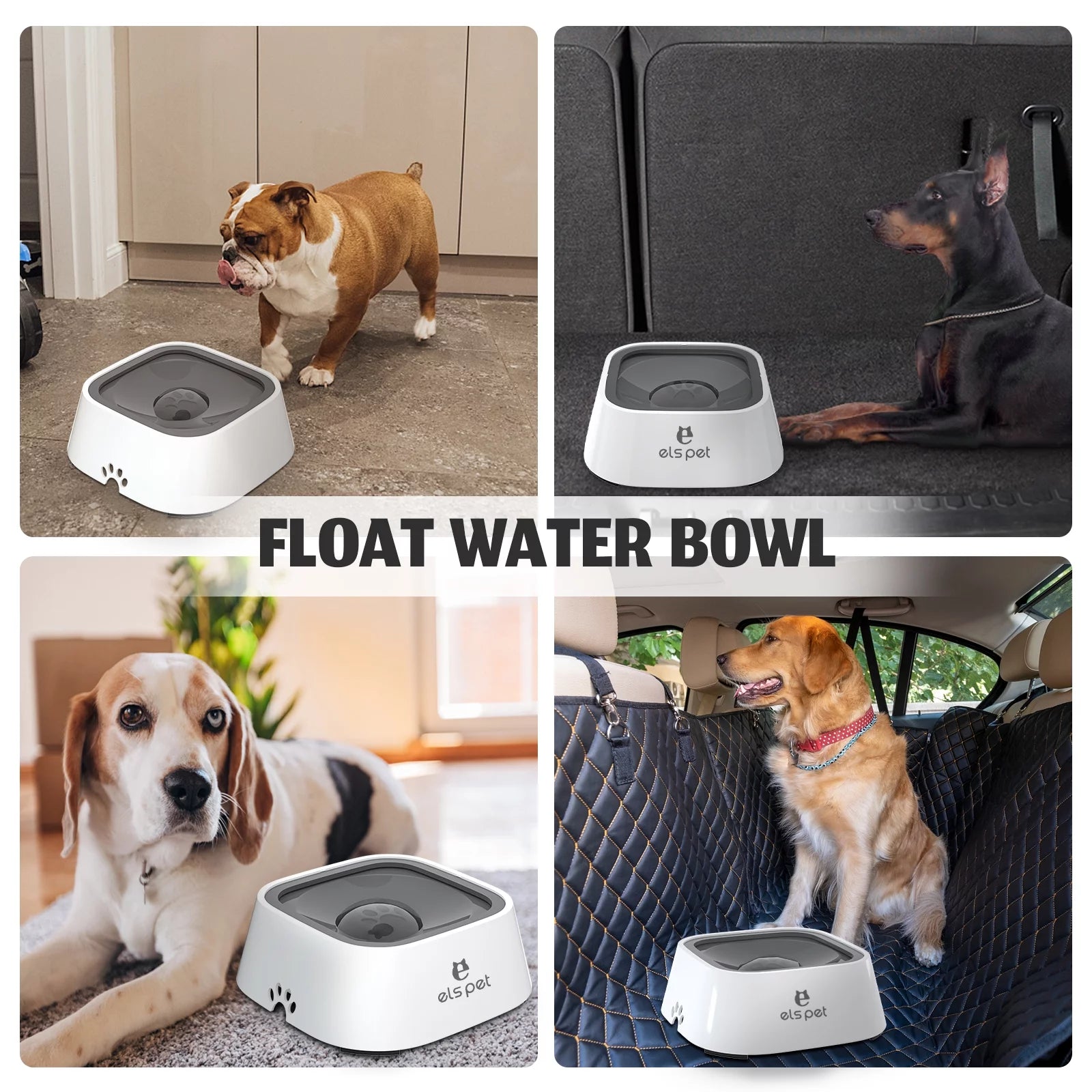 spill pet water bowl