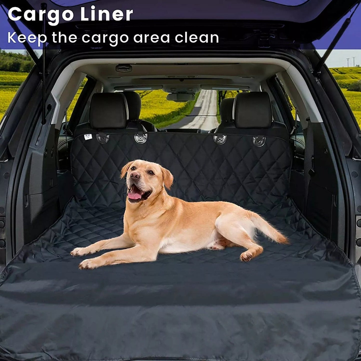 pet seat cover