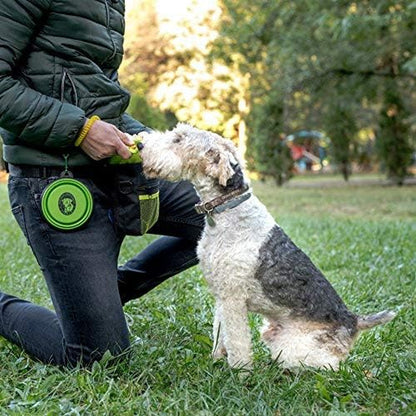 Dog Treats Training Bag