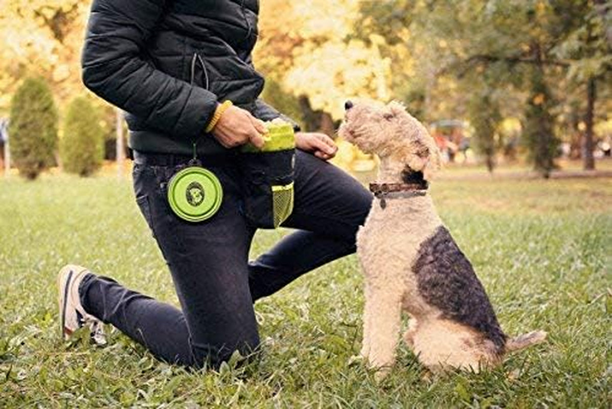 Dog Treats Training Bag